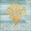Picture of CLEARWATER CORAL IV