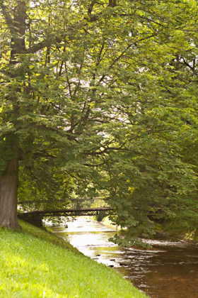 Picture of BRIDGE OVER THE CREEK