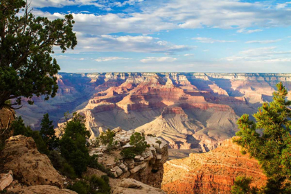 Picture of CANYON SHADOWS I