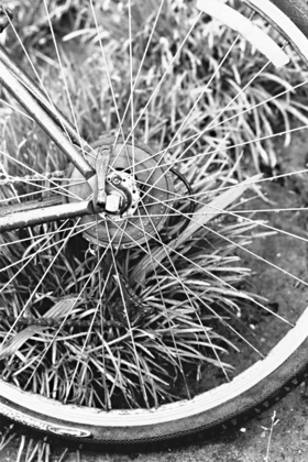 Picture of BIKE SPOKE