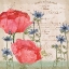 Picture of PARISIAN PEONIES I