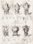 Picture of URNS