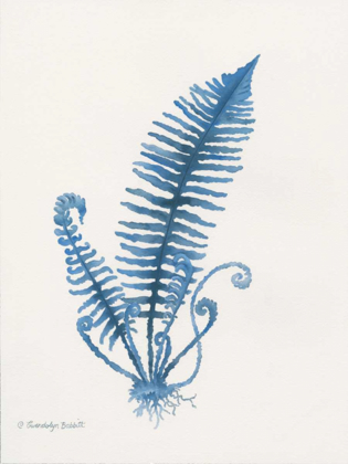 Picture of INDIGO FERN IV