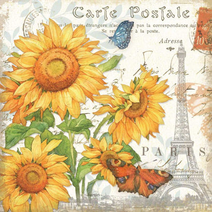 Picture of CARTE POSTALE SUNFLOWERS II