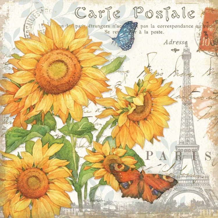 Picture of CARTE POSTALE SUNFLOWERS II