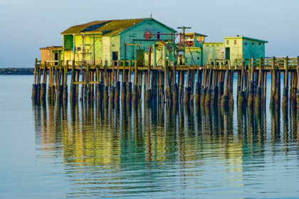 Picture of HALF MOON BAY PIER