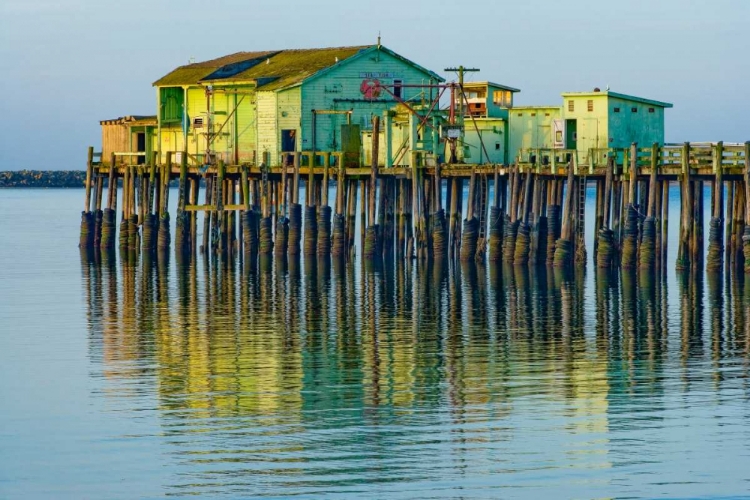 Picture of HALF MOON BAY PIER