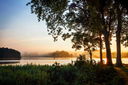 Picture of COBB ISLAND SUNRISE IV