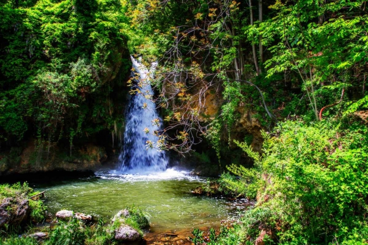 Picture of DEEP WOODS WATERFALL II