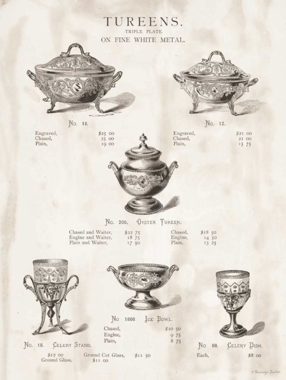 Picture of TUREENS