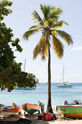 Picture of CARIBBEAN BOATS V