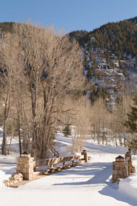 Picture of SNOWY PATH