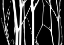 Picture of REVERSE SILHOUETTE I
