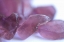 Picture of SEA GLASS II