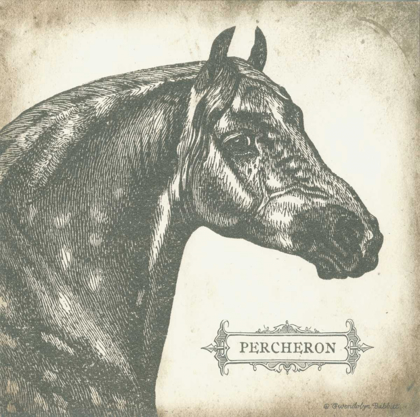 Picture of PERCHERON