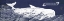 Picture of INDIGO WHALE I