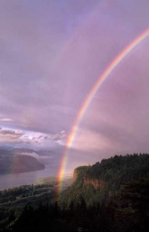 Picture of COLUMBIA RIVER GORGE VII