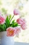 Picture of TULIP BOUQUET II