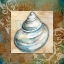 Picture of NAUTICAL III