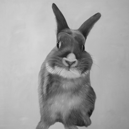 Picture of FUNNY GRAY RABBIT