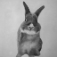 Picture of FUNNY GRAY RABBIT