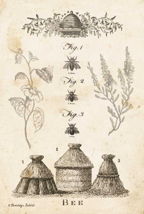 Picture of BEE CHART II