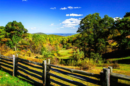 Picture of BLUE RIDGE BACKYARD