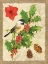 Picture of HOLIDAY CHICKADEE
