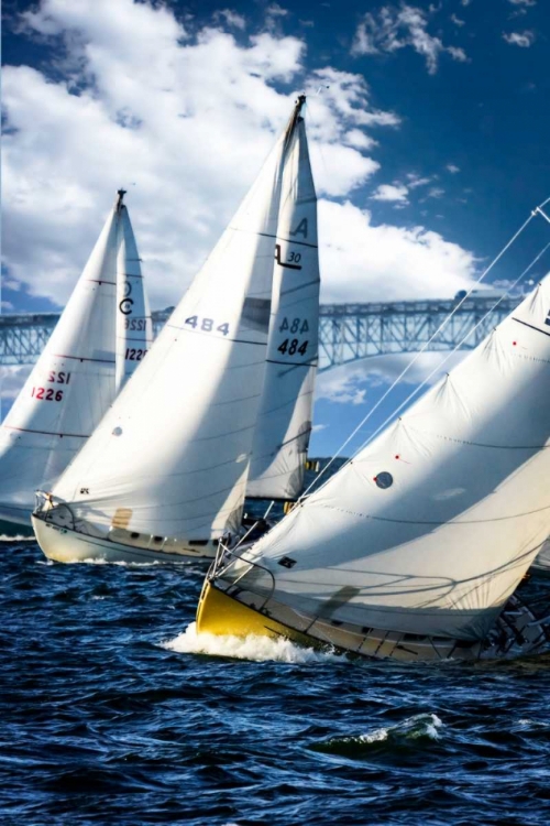 Picture of RACING TO THE BUOY