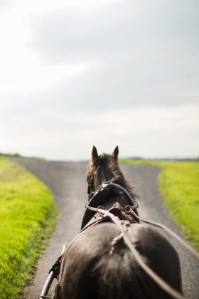 Picture of HORSE DRAWN