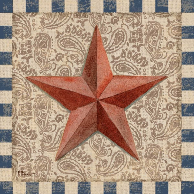 Picture of AMERICAN BARN STAR I
