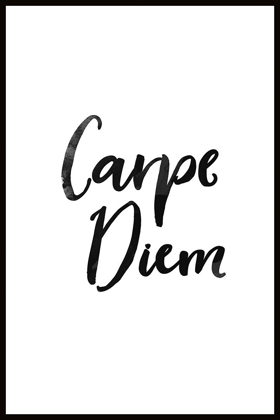 Picture of CARPE DIEM