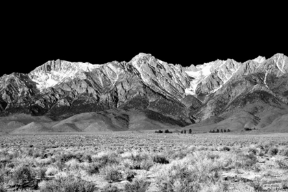Picture of OWENS VALLEY BW
