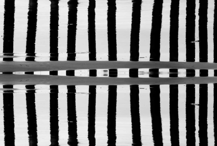 Picture of REFLECTED DUAL PILINGS