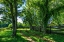 Picture of GREEN SPRINGS FARM IV