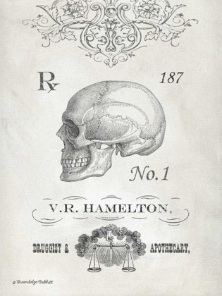 Picture of ELEGANT SKELETON SKULL