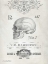 Picture of ELEGANT SKELETON SKULL
