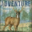 Picture of ADVENTURE LODGE I