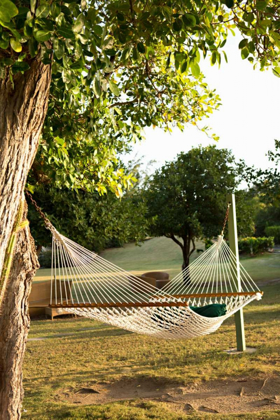 Picture of OPEN HAMMOCK