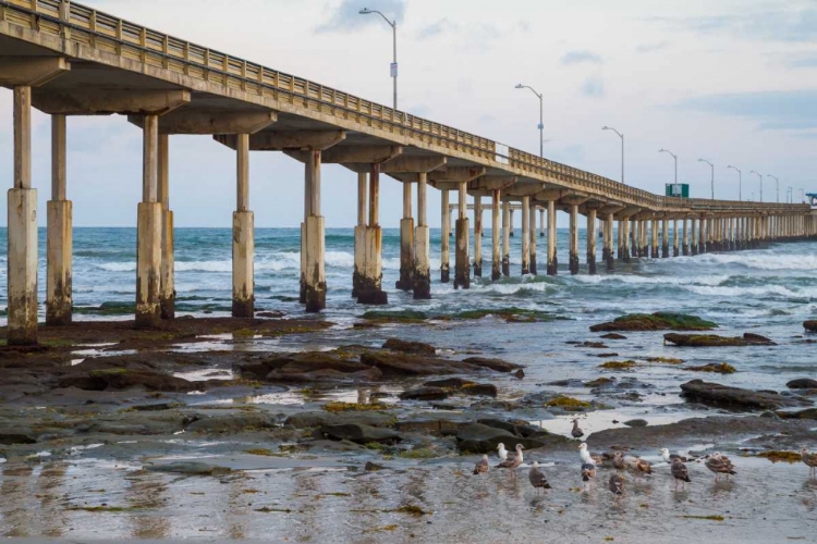 Picture of OCEAN BEACH PIER I