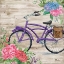 Picture of PETAL PUSHER IV