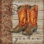 Picture of WILD WEST BOOTS I