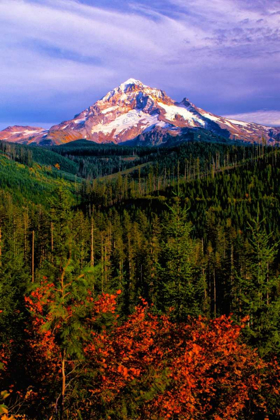 Picture of MT. HOOD IV