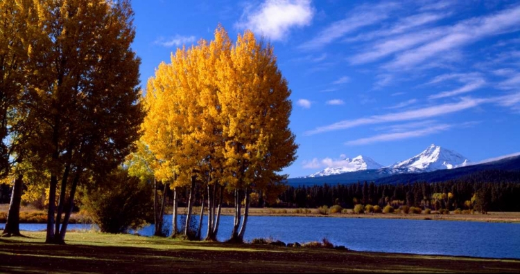 Picture of SISTERS IN AUTUMN III