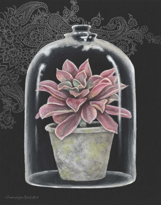 Picture of SUCCULENT IN CLOCHE III