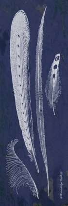 Picture of INDIGO FEATHERS IV