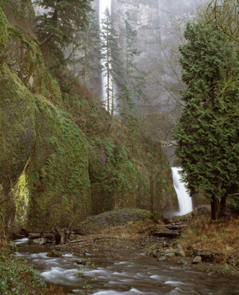 Picture of MULTNOMAH FALLS CREEK SIDE II