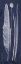 Picture of INDIGO FEATHERS III