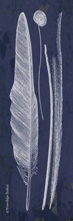 Picture of INDIGO FEATHERS III