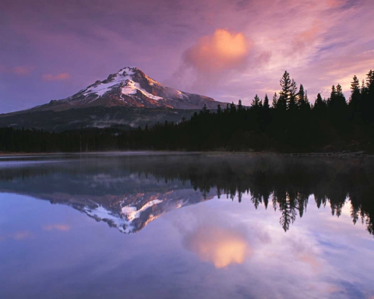 Picture of MT. HOOD II